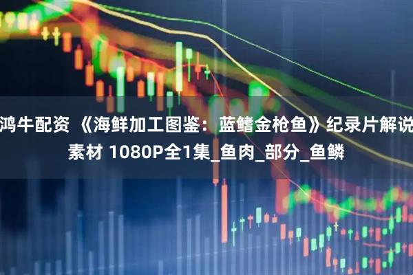 鸿牛配资 《海鲜加工图鉴：蓝鳍金枪鱼》纪录片解说素材 1080P全1集_鱼肉_部分_鱼鳞