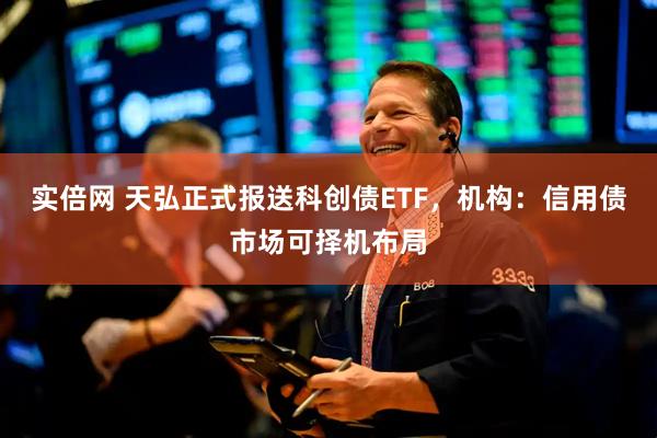 实倍网 天弘正式报送科创债ETF，机构：信用债市场可择机布局