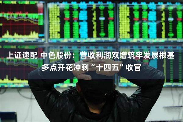 上证速配 中色股份：营收利润双增筑牢发展根基 多点开花冲刺“十四五”收官