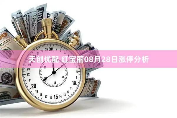 天创优配 红宝丽08月28日涨停分析