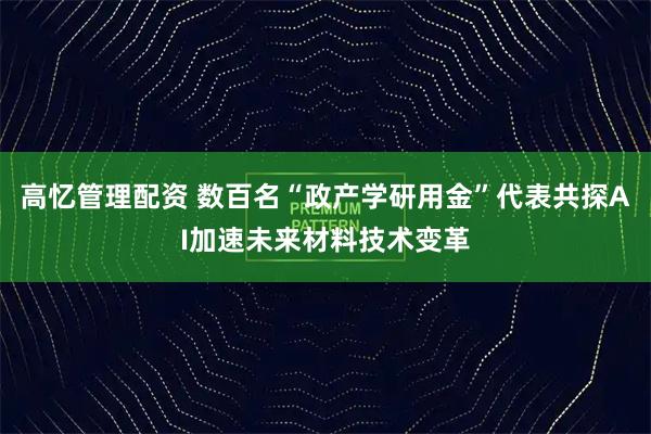 高忆管理配资 数百名“政产学研用金”代表共探AI加速未来材料技术变革
