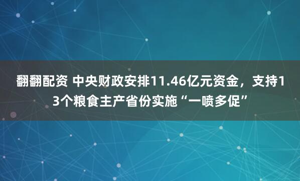 翻翻配资 中央财政安排11.46亿元资金，支持13个粮食主产省份实施“一喷多促”