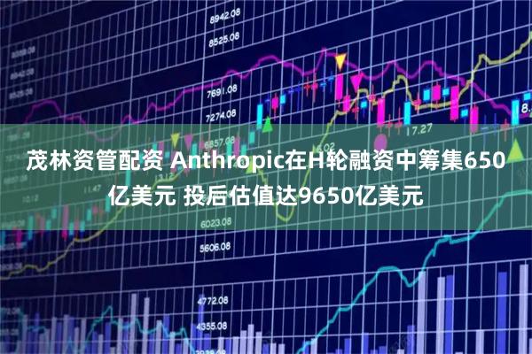 茂林资管配资 Anthropic在H轮融资中筹集650亿美元 投后估值达9650亿美元
